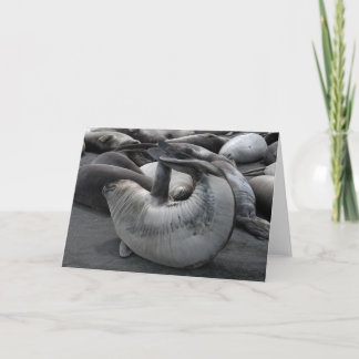 Cartão The Mermaid Seal