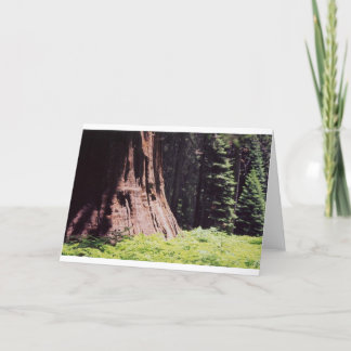 Cartão The Mighty Sequoia