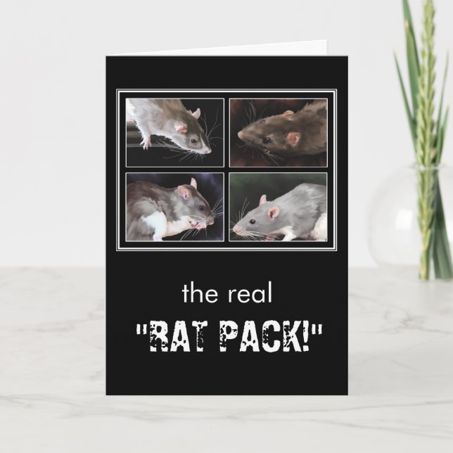 Cartão The real "RAT PACK!" - rat greeting card (Frente)