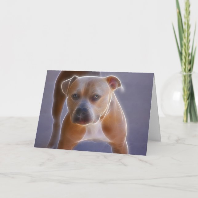 Cartão The Stance (Frente)