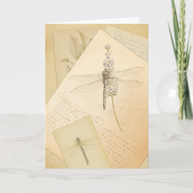 Cartão The Study of Dragonflies greeting card (Frente)