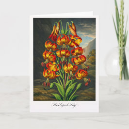 Cartão The Superb Lily — Modern Botanical Reinterpretatio