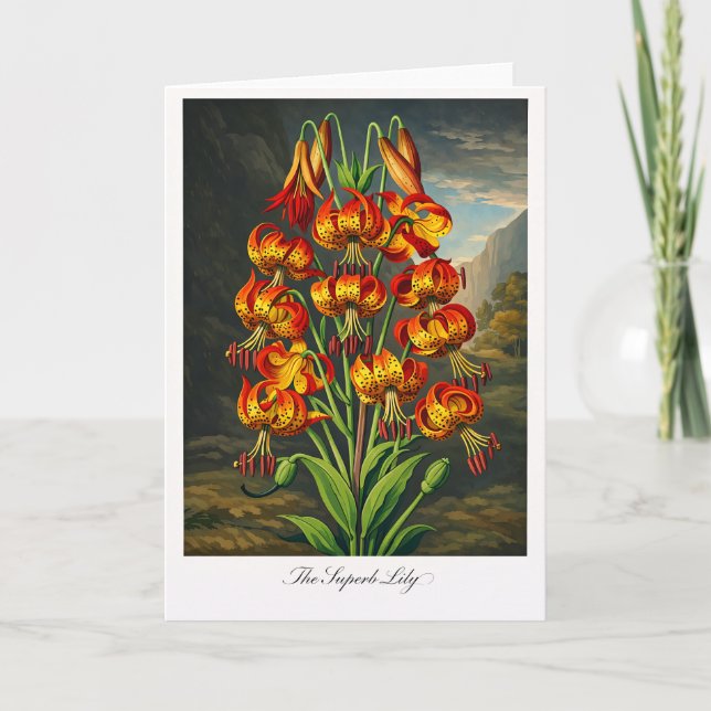 Cartão The Superb Lily — Modern Botanical Reinterpretatio (Frente)