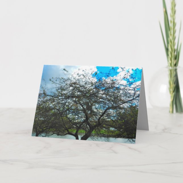 Cartão THE TEST OF TIME card (Frente)