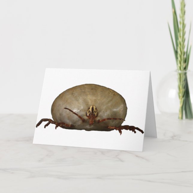 Cartão The Tick (Frente)