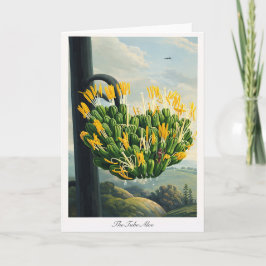 Cartão The Tube Aloe — Modern Botanical Reinterpretation