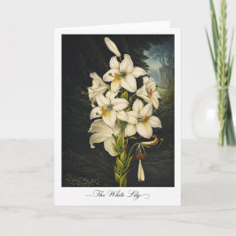 Cartão The White Lily — Modern Botanical Reinterpretation