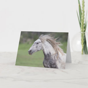 Cartão Theodore Runs: Galloping to Freedom Greeting Card