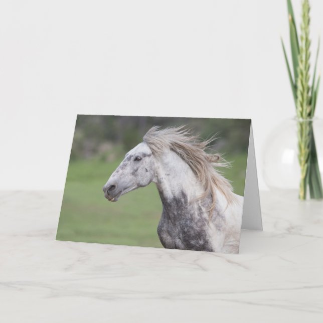 Cartão Theodore Runs: Galloping to Freedom Greeting Card (Frente)