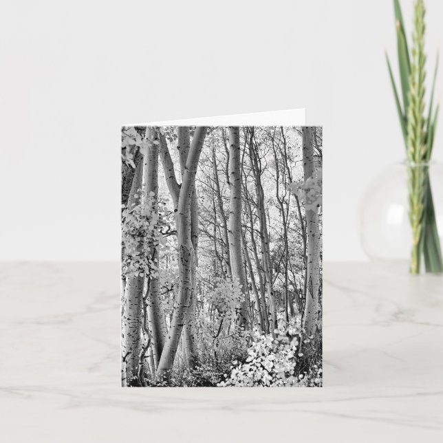 Cartão Thicket (Frente)