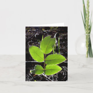 Cartão Things Will Be Brighter Notecard