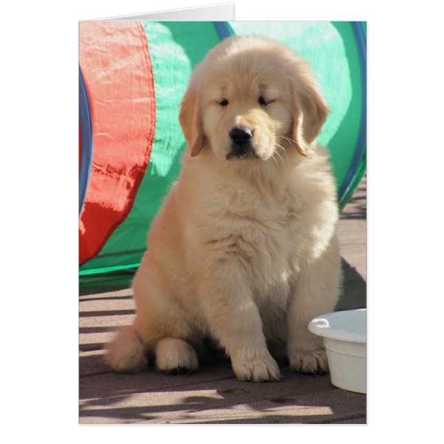 Cartão Thinkin dourado (Frente)