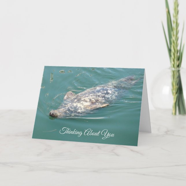 Cartão Thinking about you Cute Floating Seal Card (Frente)