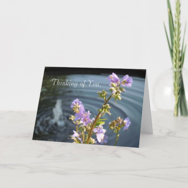 Cartão Thinking of You (Frente)