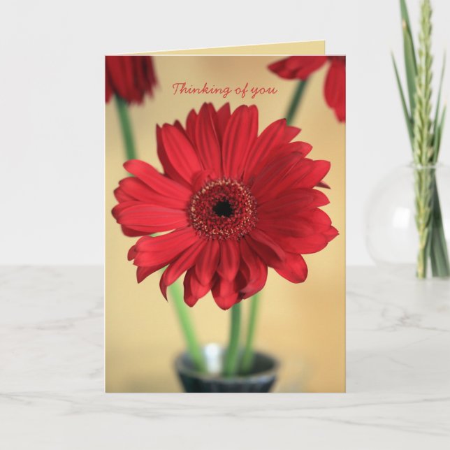 Cartão Thinking of you (Frente)