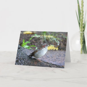 Cartão thinking of you...