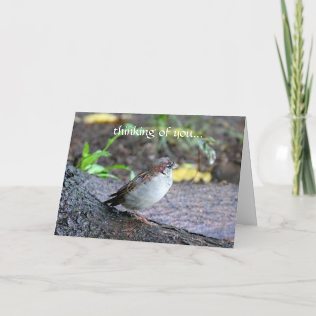 Cartão thinking of you... (Frente)