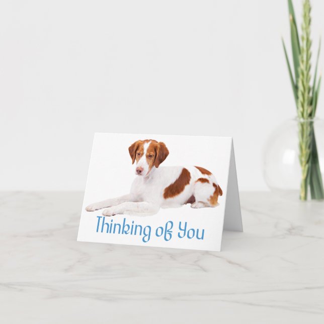 Cartão Thinking Of You Brittany Spaniel Puppy Dog (Frente)