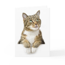 Thinking of You Card