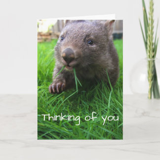 Cartão Thinking of you card! Cute wombat, wildlife card