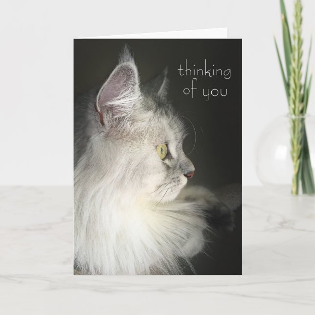 Cartão Thinking of You Card Featuring Siberian Cat (Frente)