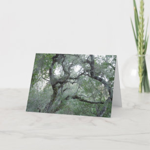 Cartão Thinking of You Card Tangled Oak Trees