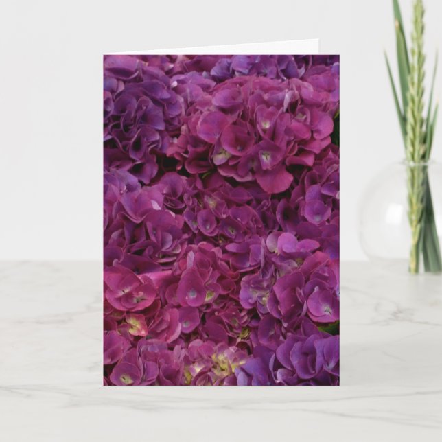 Cartão Thinking of you card with pink hydrangea flowers (Frente)