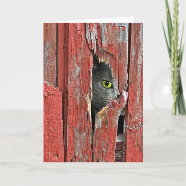 Cartão Thinking of You Cat (Frente)