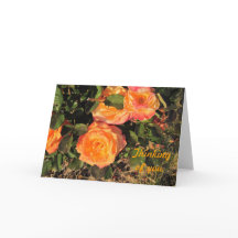 Thinking of You: Coral roses