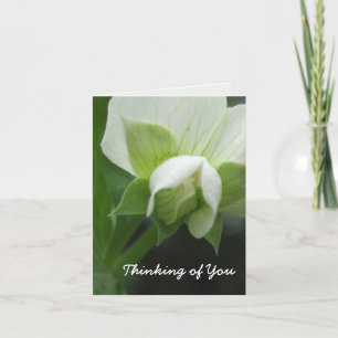 Cartão Thinking of you customizable cards