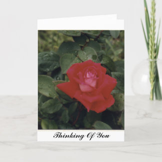 Cartão Thinking Of You - Customized