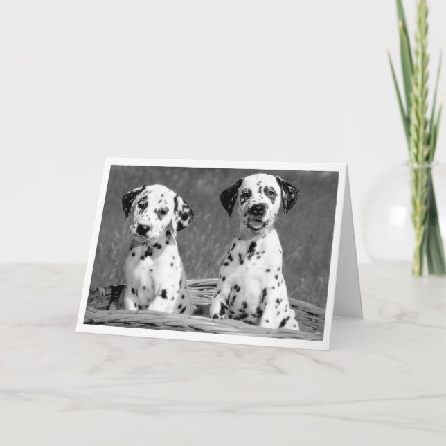 Cartão Thinking of You Dalmatian Puppy Dog Hello Card (Frente)