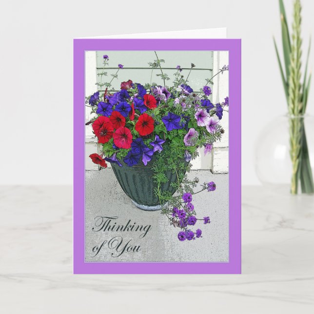 Cartão Thinking of You, Flower Arrangement of Petunias (Frente)