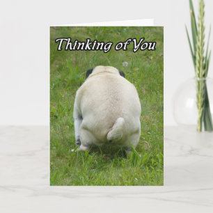 Cartão Thinking of You Funny Rude Pug
