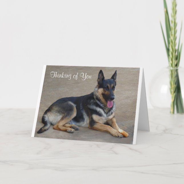 Cartão Thinking of You German Shepherd Dog Greeting Card (Frente)