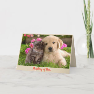 Cartão Thinking of You Get Well