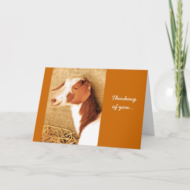 Cartão Thinking of You Goat Card (Frente)