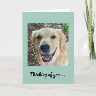 Cartão Thinking of you - Golden Retriever Card