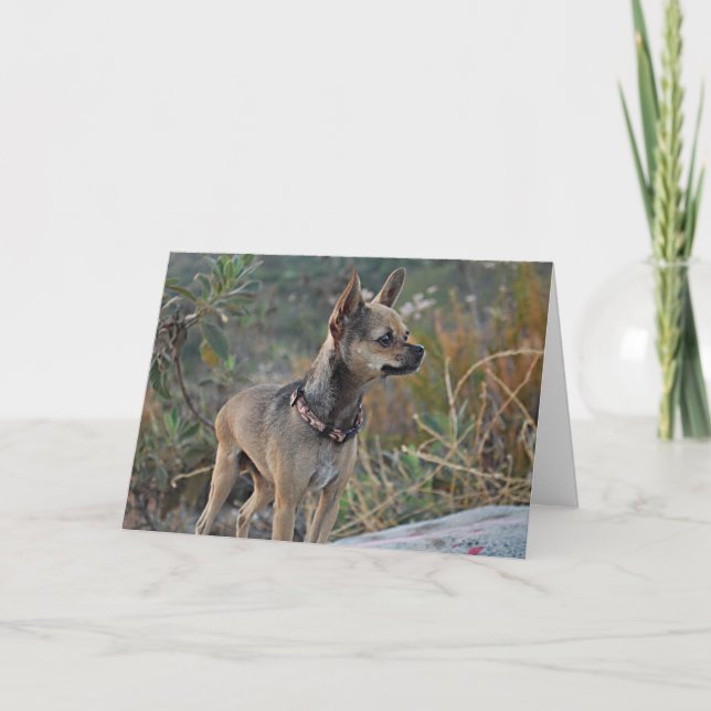 Cartão Thinking of You Greeting Card (Frente)