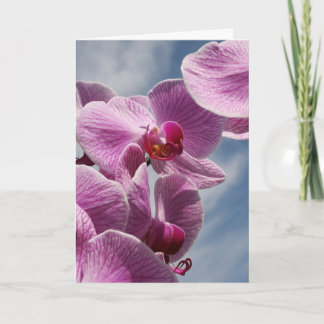 Cartão Thinking Of You Greeting Card, Beautiful Orchid