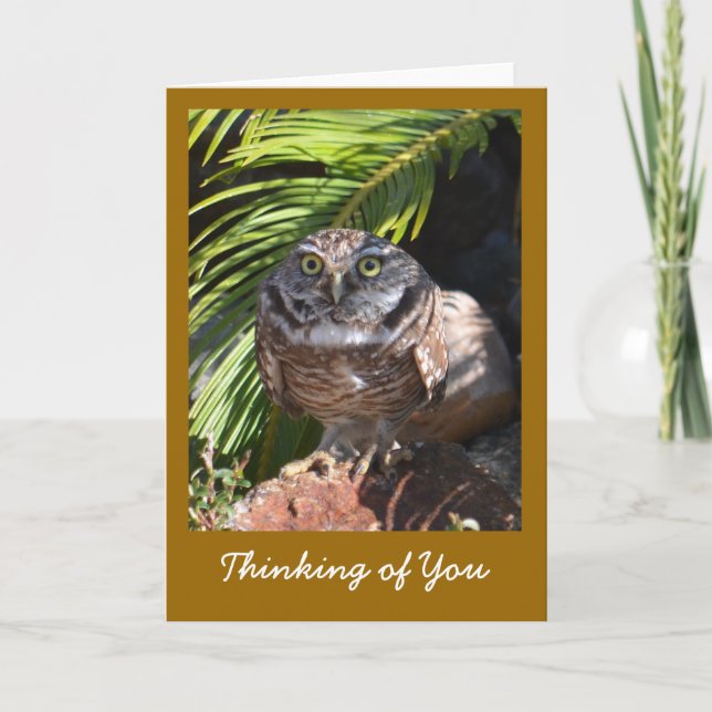 Cartão Thinking of You Greeting Card with Owl (Frente)