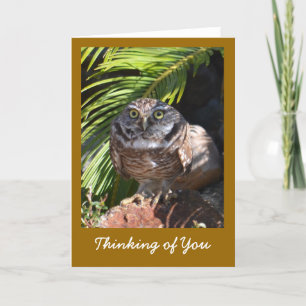 Cartão Thinking of You Greeting Card with Owl