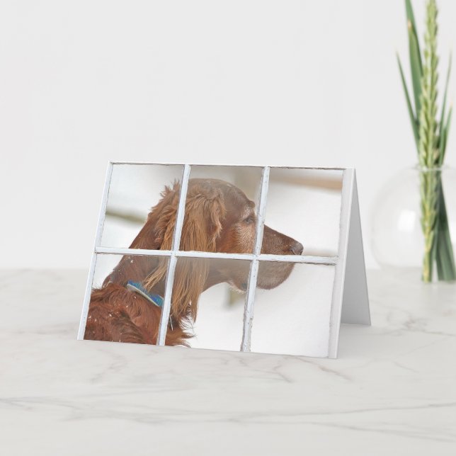 Cartão thinking of you-Irish Setter in snow (Frente)