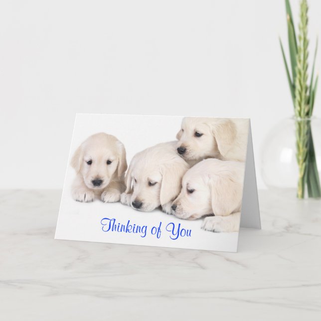 Cartão Thinking of You  Labrador Retriever Puppies Card (Frente)