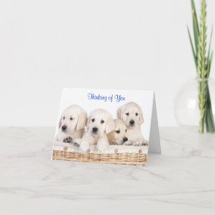 Cartão Thinking of You Labrador Retriever Puppies Card