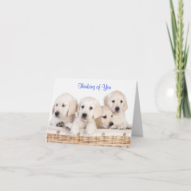Cartão Thinking of You Labrador Retriever Puppies Card (Frente)