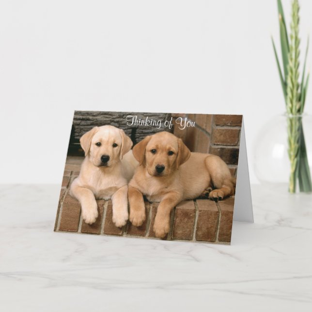 Cartão Thinking of You Labrador Retriever Puppies Card (Frente)