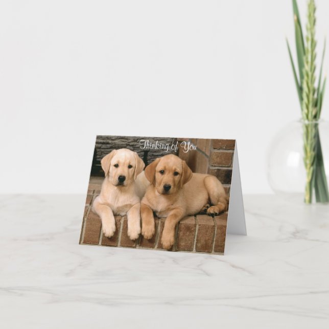 Cartão Thinking of You Labrador Retriever Puppies Card (Frente)
