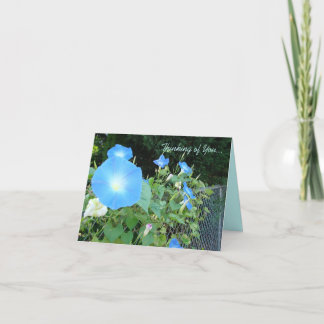 Cartão Thinking of You...Morning Glories Notecard