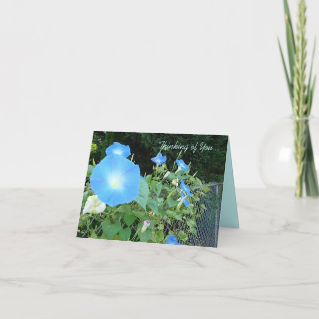 Cartão Thinking of You...Morning Glories Notecard (Frente)